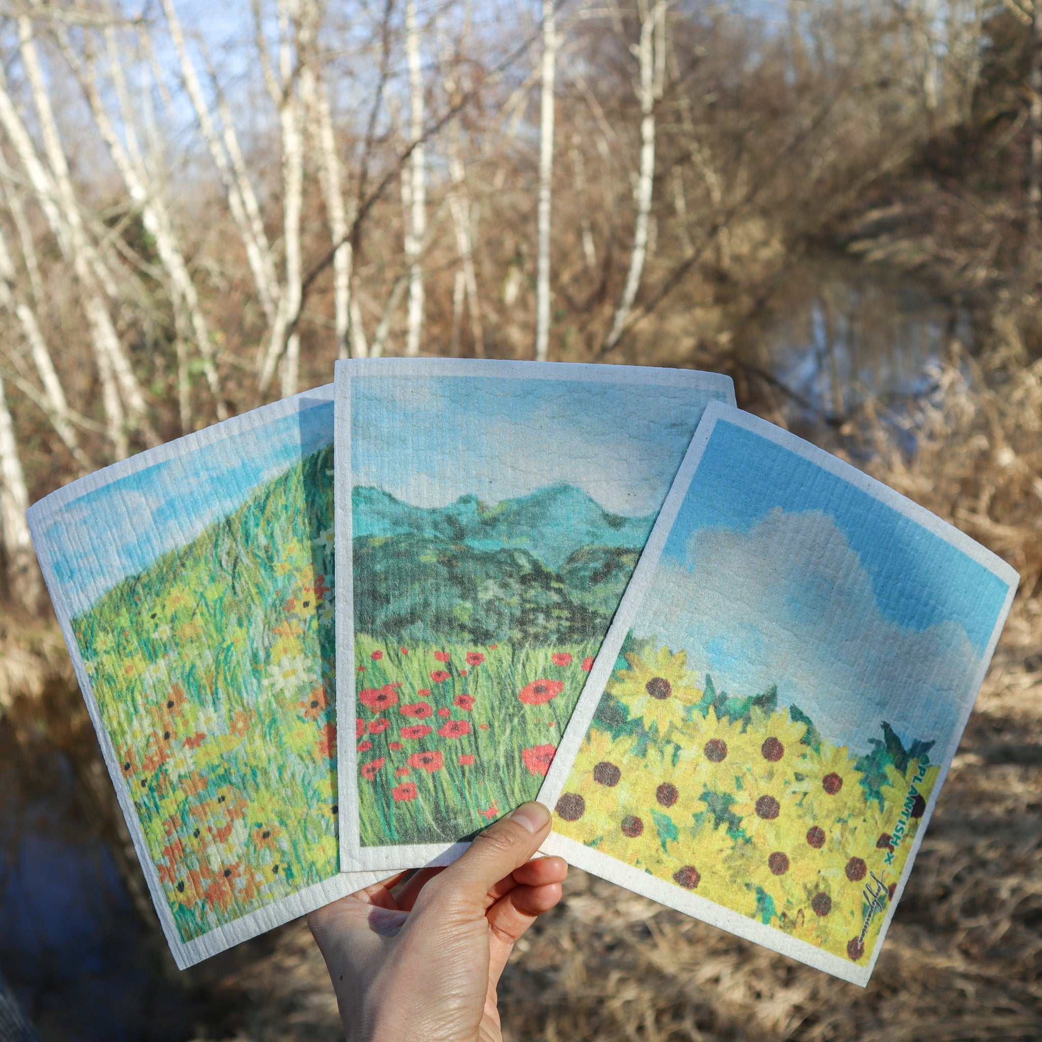 12-Month Supply of Swedish Sponge Cloths